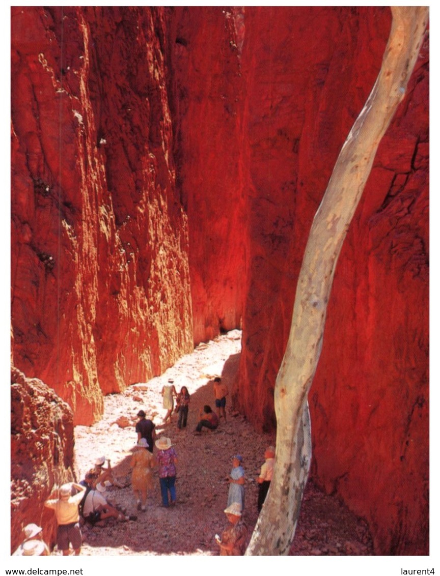 (678) Australia - NT - Standley Chasm - The Red Centre