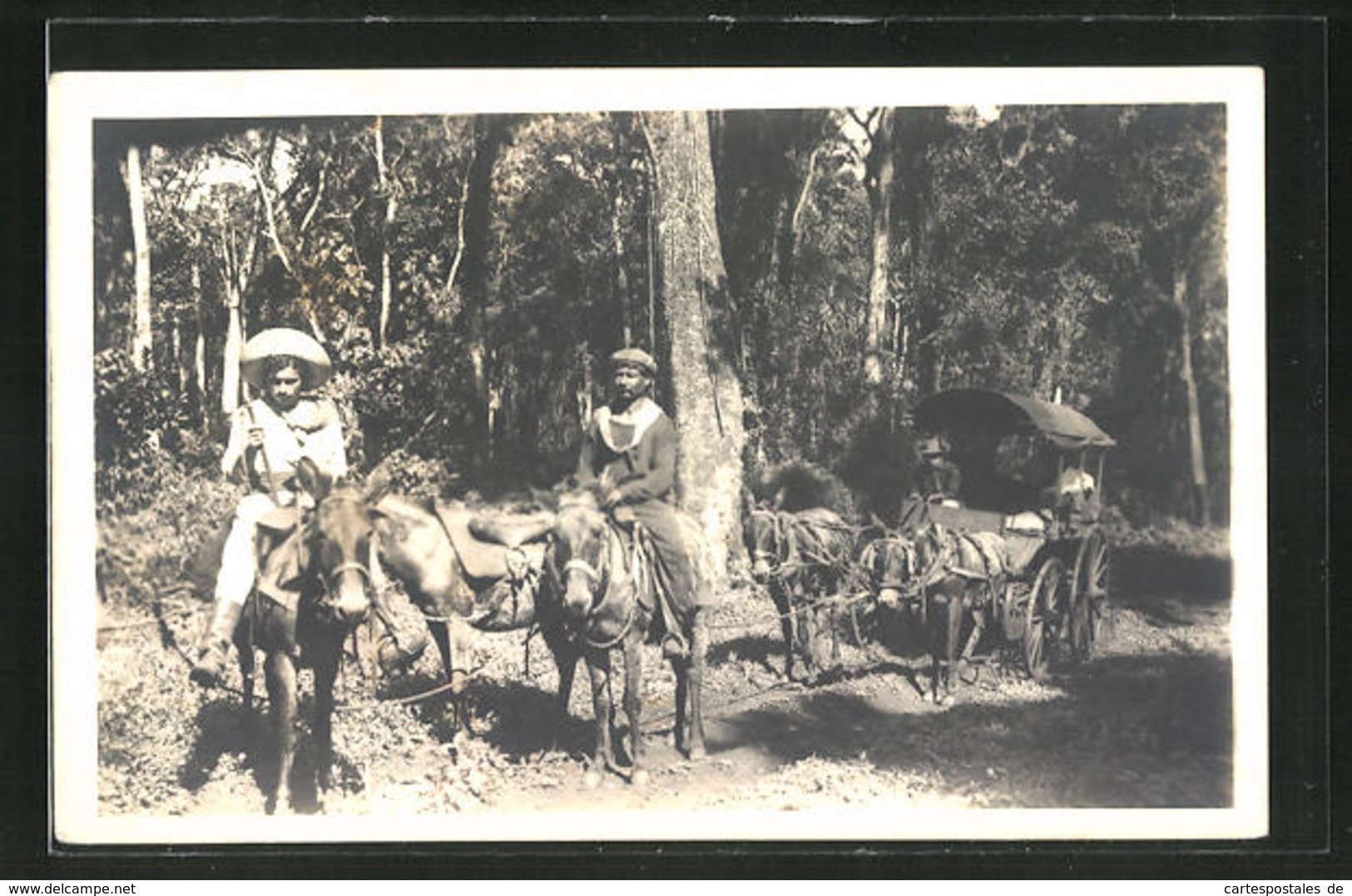 AK Paraguay, Reiter Und Fuhrwerk Im Wald - Paraguay