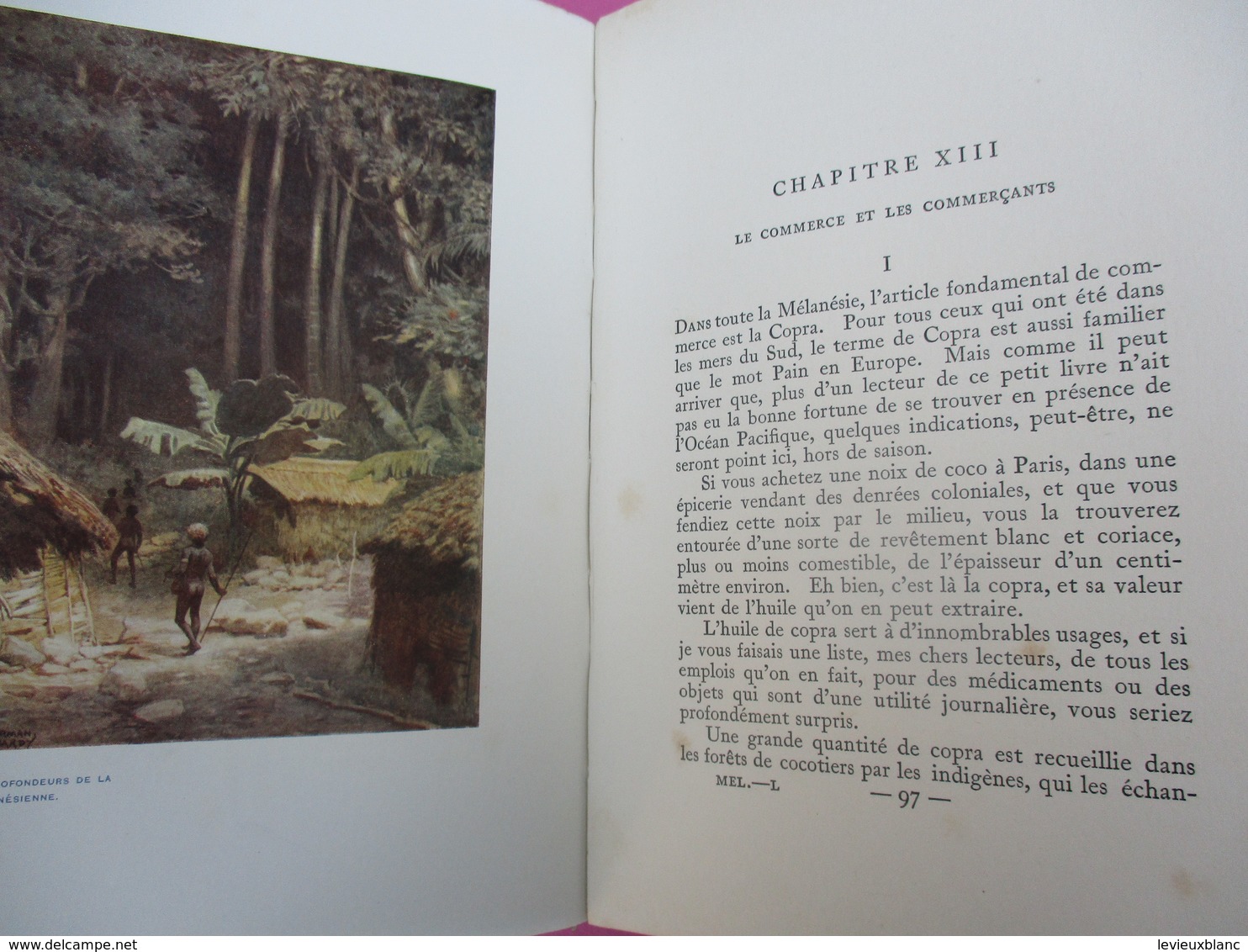 Récit de Voyage/"Un tour en Mélanésie"/Nouvelle Calédonie/Nouvelles Hébrides/Mac Grégor/Vincennes/1912            LIV148