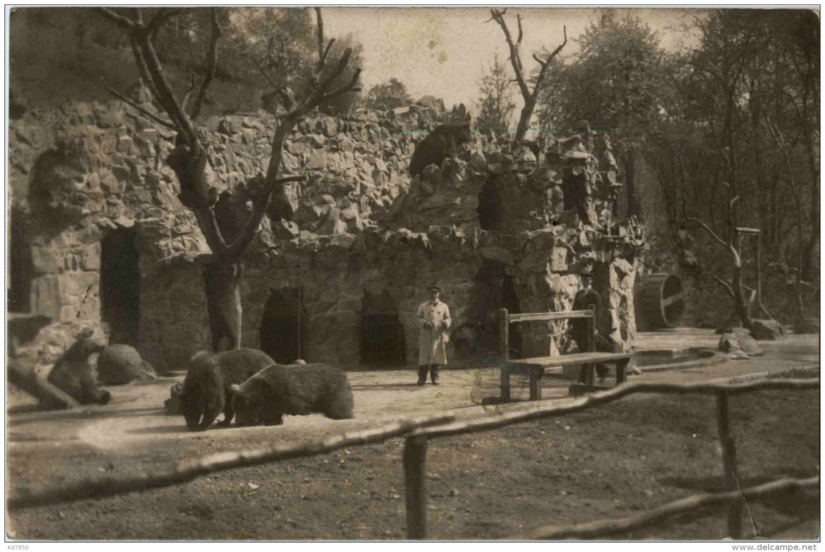 Czech - Prag - Zoo - Bear - Bären - Tsjechië