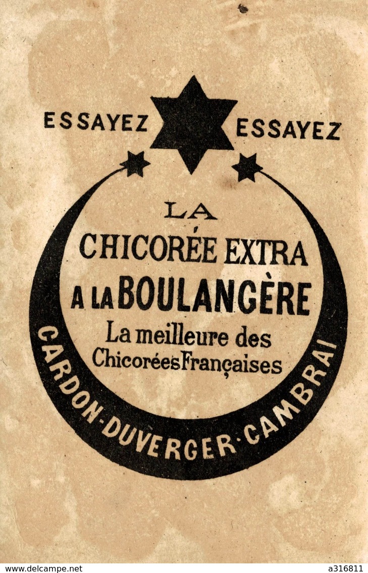 CHICOREE A LA BOULANGERE - Cardon Duverger Cambrai - Autres & Non Classés