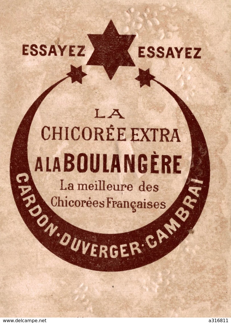 CHICOREE A LA BOULANGERE - Cardon Duverger Cambrai - Autres & Non Classés