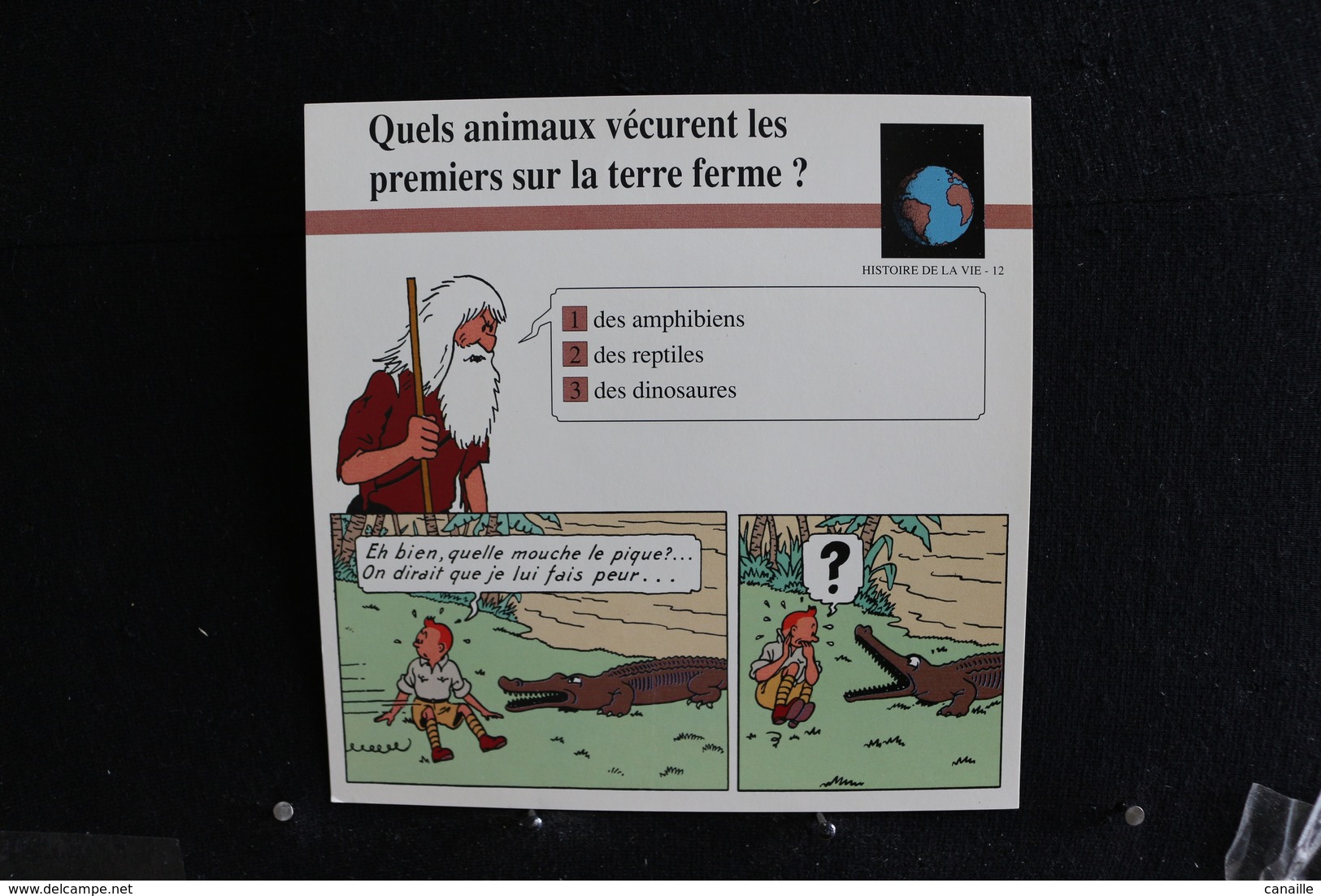 Fiche Atlas, TINTIN (extrait De, Tintin Au Congo) - Histoire De La Vie N°12. Que Animaux Vécurent Sur La Terre   ? - Sammlungen