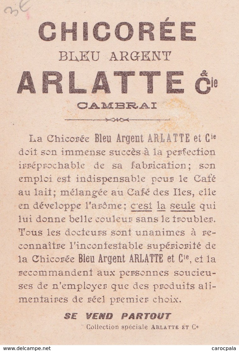 1900 BERRICHONNE : Belle Illustration (publicité Chicorée Arlatte Cambrai) - Autres & Non Classés