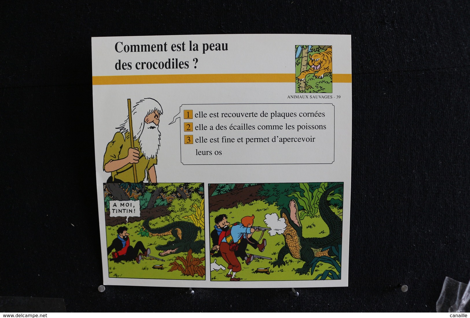 Fichet Atlas,TINTIN (exrait De,Le Temple Du Soleil)-Animaux Sauvages,n°39.Comment Est La Peau Des Crocodiles - Sammlungen