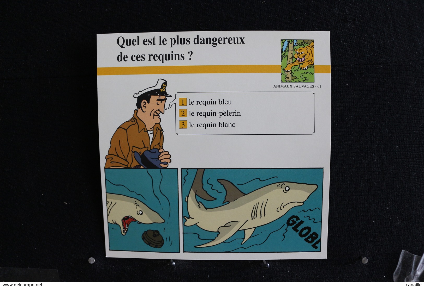 Fichet Atlas, TINTIN (exrait De,Coke En Stock) - Animaux Sauvages, N°61. Quel Est Le Plus Dangereux De Ces Requins  ? - Collections