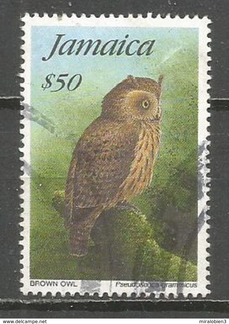JAMAICA YVERT NUM. 878 USADO FAUNA AVES - Jamaica (1962-...)