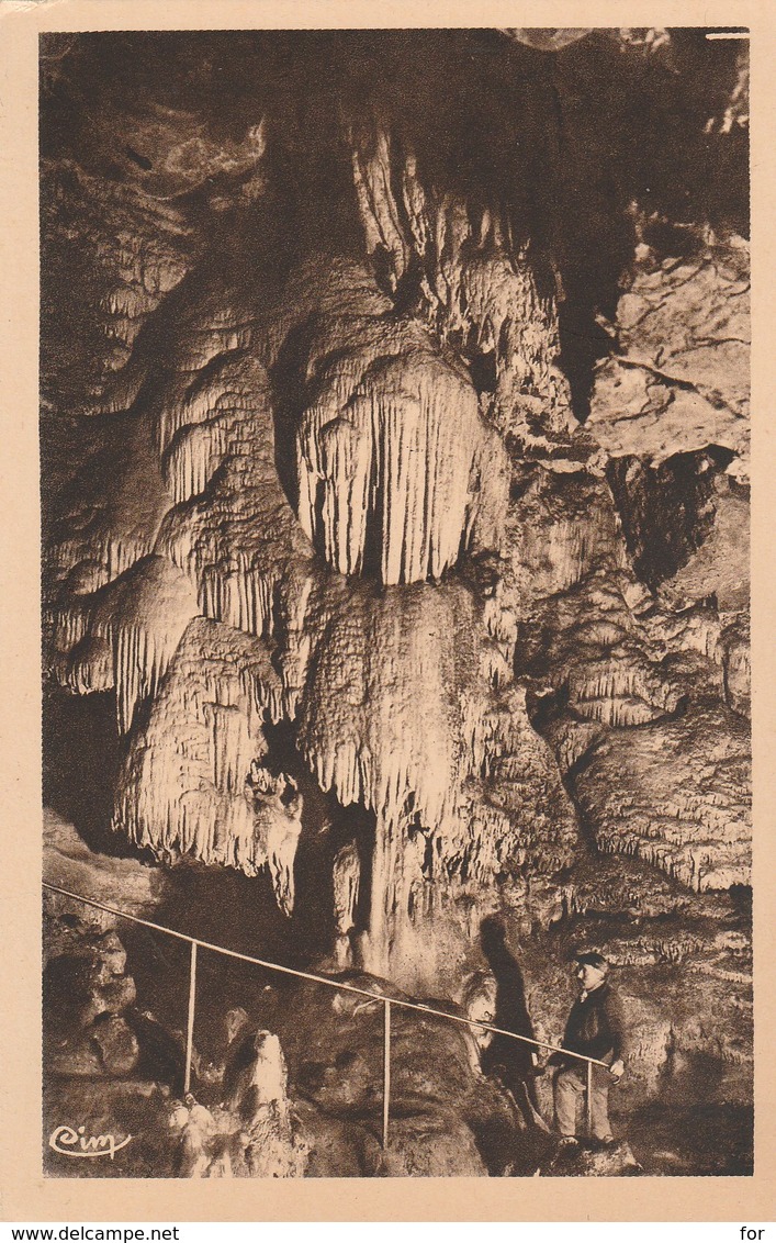 Isère : Grottes De La Balme : Le Saule Pleureur - La Balme-les-Grottes