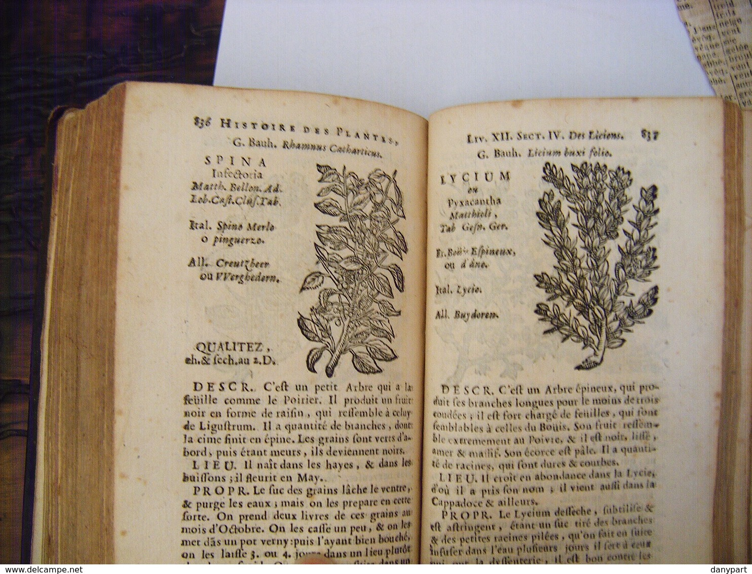 Jean Baptiste Deville Publié En 1689 - Histoire Des Plantes De L'Europe & Des Plus Usités - Before 18th Century