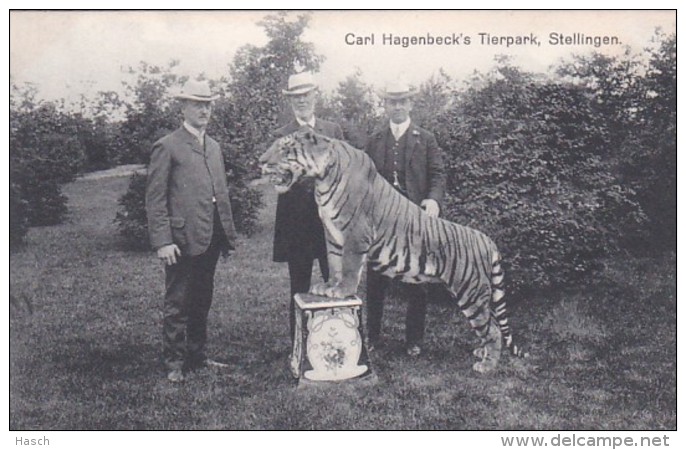 2525196Stellingen, Carl Hagenbeck&rsquo;s Tierpark. - Stellingen