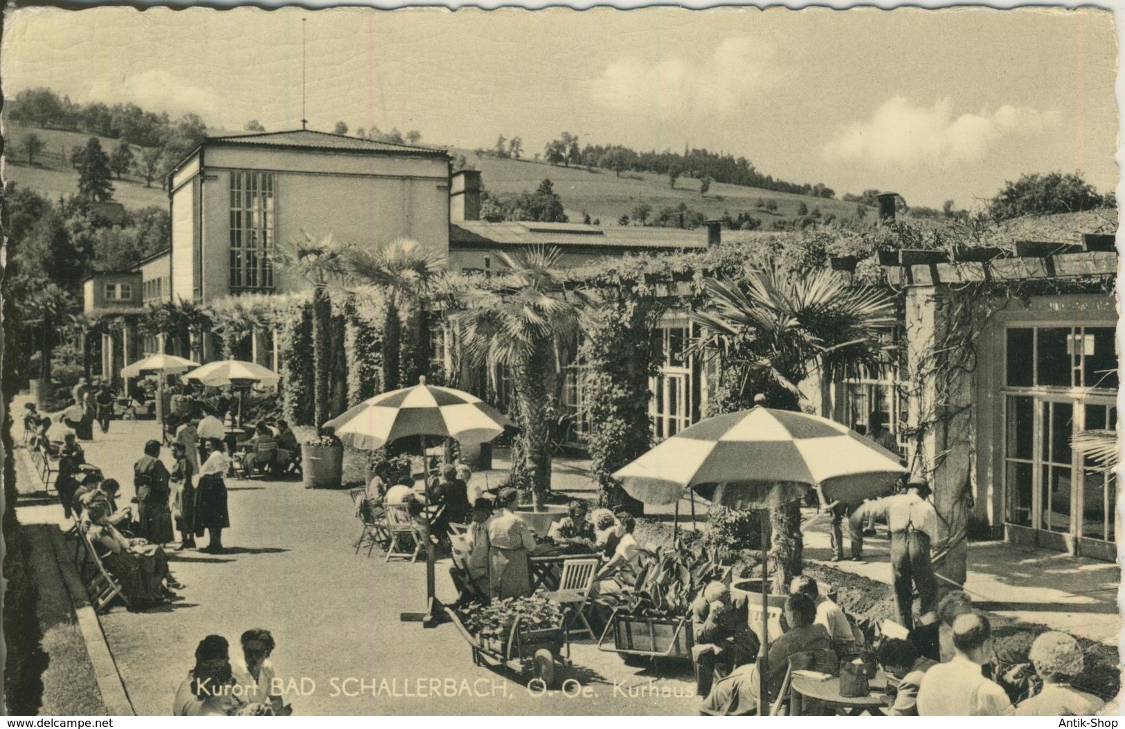 Bad Schallerbach V. 1960 Vor Dem Kurhaus  (1411) - Bad Schallerbach