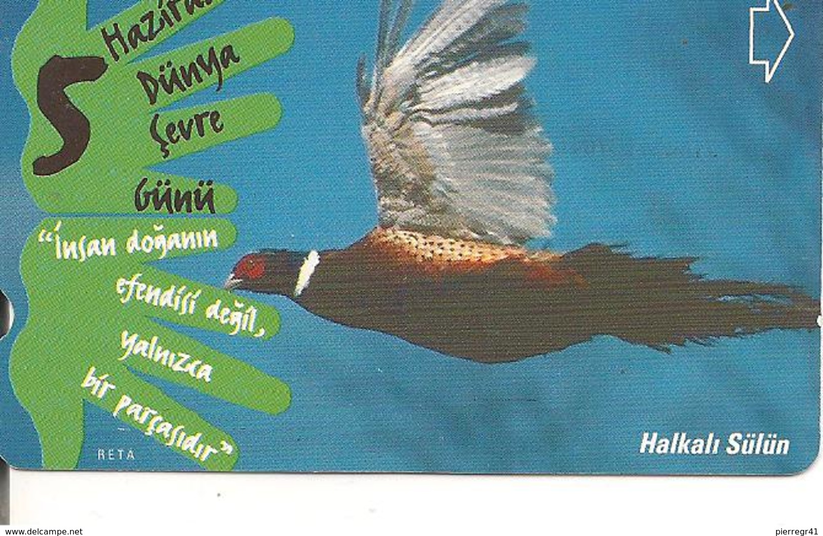 CARTE-a-MAGNETIQUE-TURQUIE-1999--FAISAN ANNEAU En VOL-TBE - Gallinaceans & Pheasants