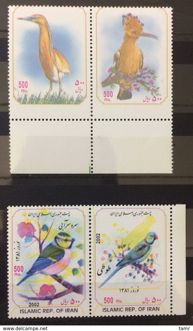 2002 - Error Birds - Iran - Iran