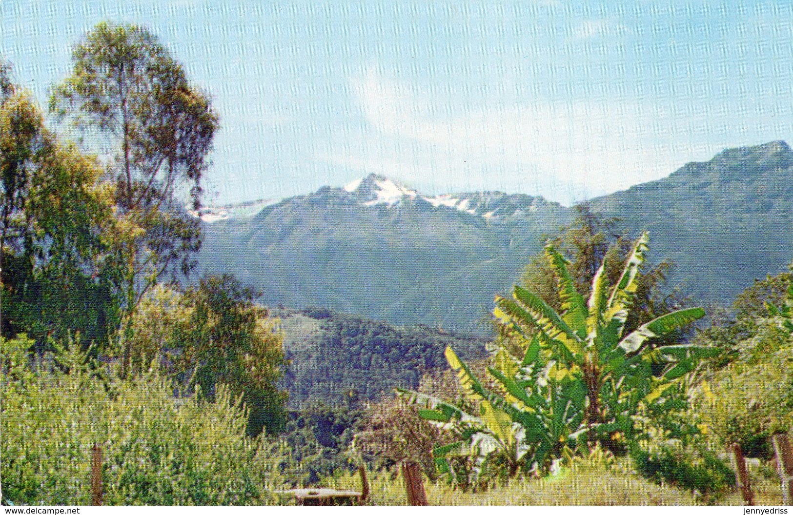 VENEZUELA , Pico Bolivar - Venezuela