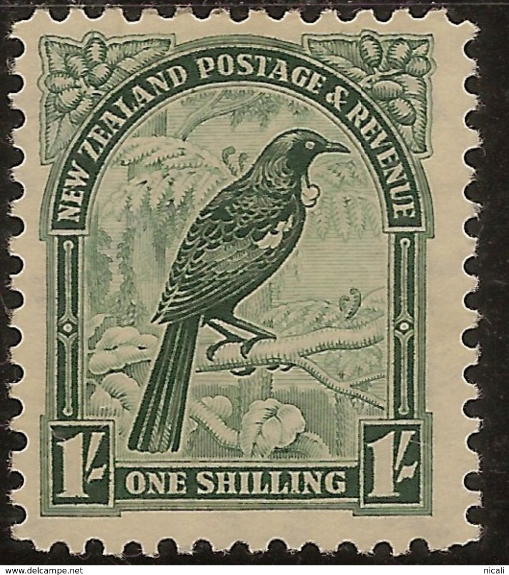 NZ 1935 1/- Tui P12.5 SG 588b HM #IR44 - Neufs