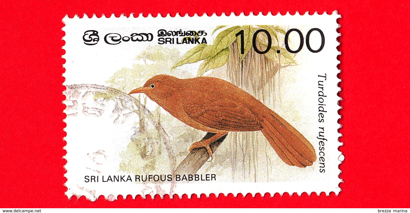 SRI LANKA - Usato - 1987 - Uccelli - Garrulo - Orange-billed Babbler (Turdoides Rufescens) - 10.00 - Sri Lanka (Ceylon) (1948-...)