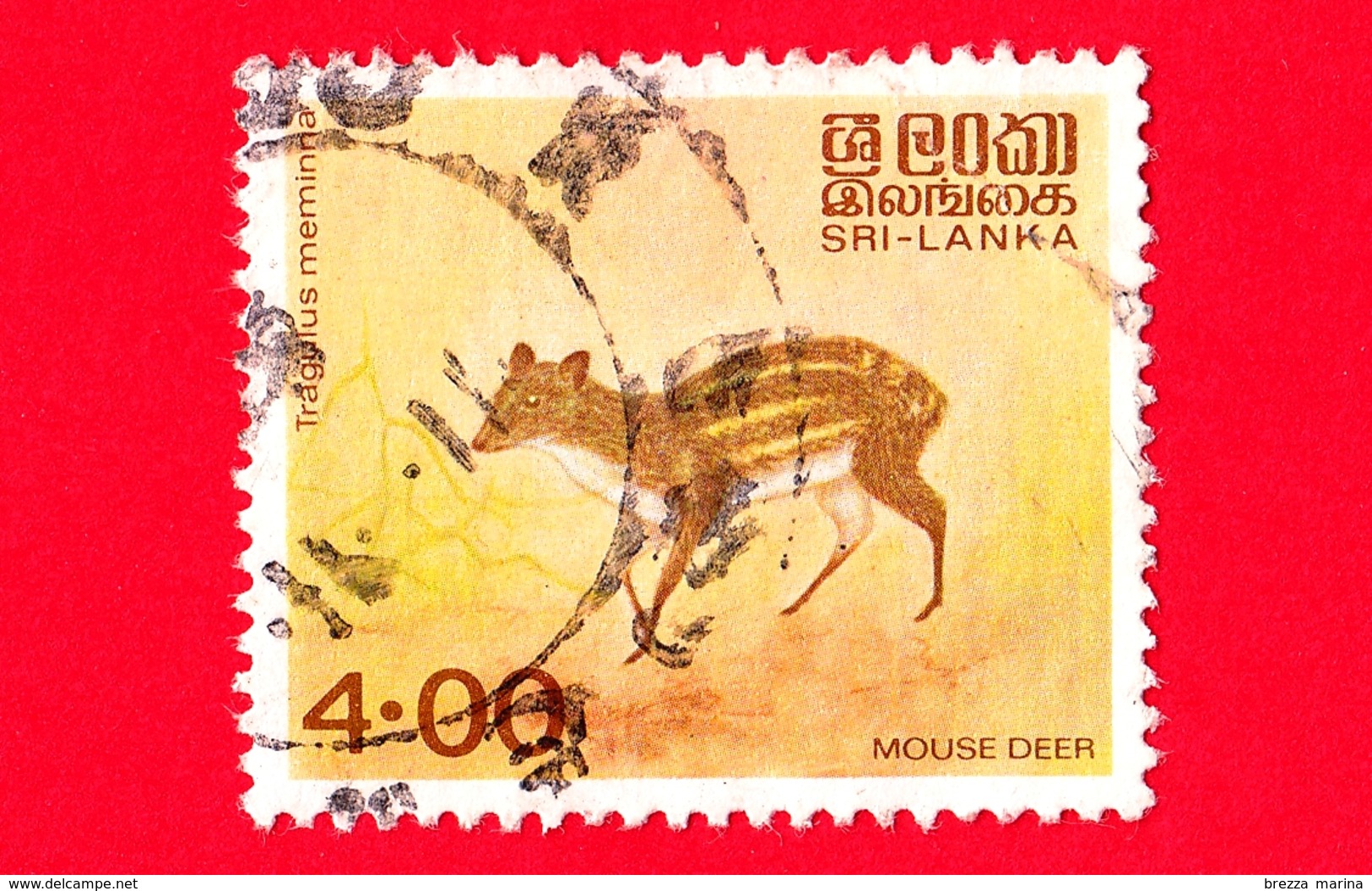 SRI LANKA - Usato - 1993 - Cervo Di Topo Indiano Macchiato (Tragulus Meminna) - Mouse Deer - 4.00 - Sri Lanka (Ceylon) (1948-...)