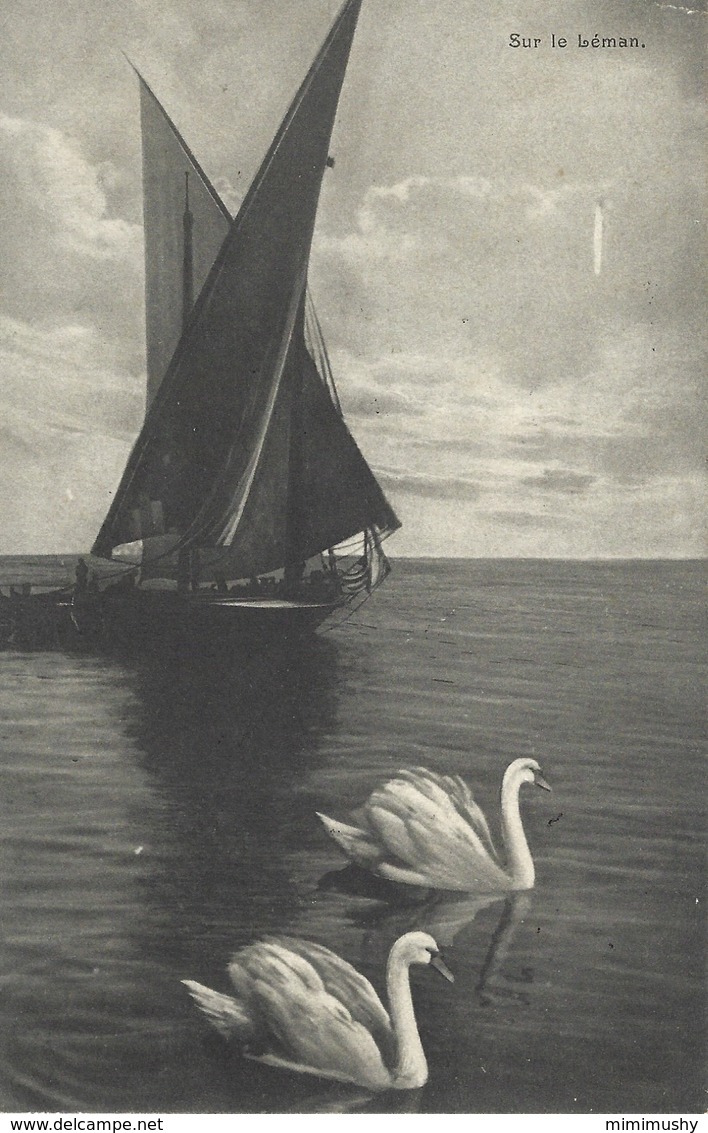 Bateau à Voile - Voilier - Sur Le Lac Léman - Cygne - Carte Encouragement Soldat 1915 - Voiliers