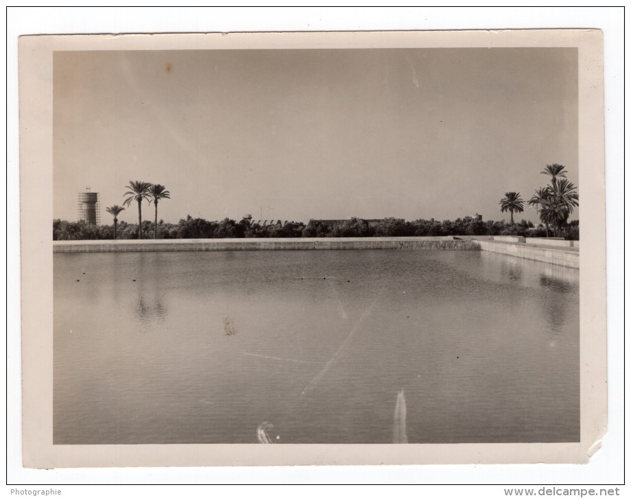 Maroc Marrakech Jardins De La Menara Bassin Ancienne Photo 1940's - Africa