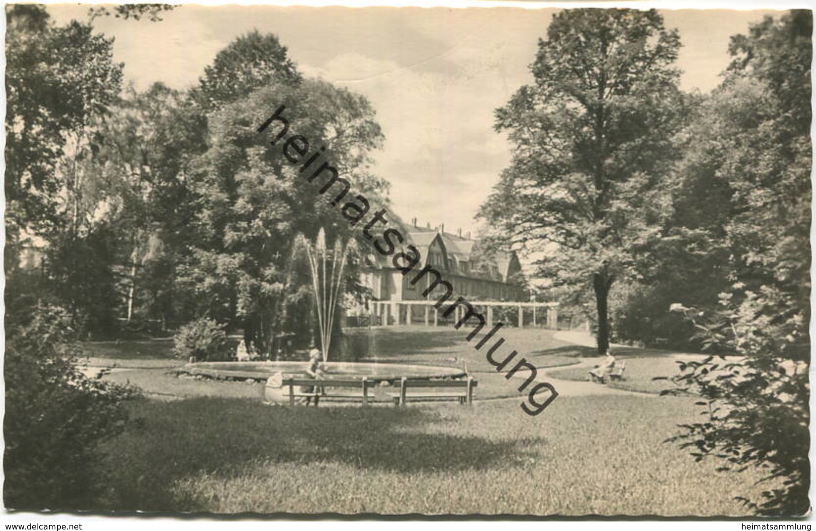 Werdau - Stadtpark - Foto-AK - VEB Bild Und Heimat Reichenbach Gel. 1964 - Werdau