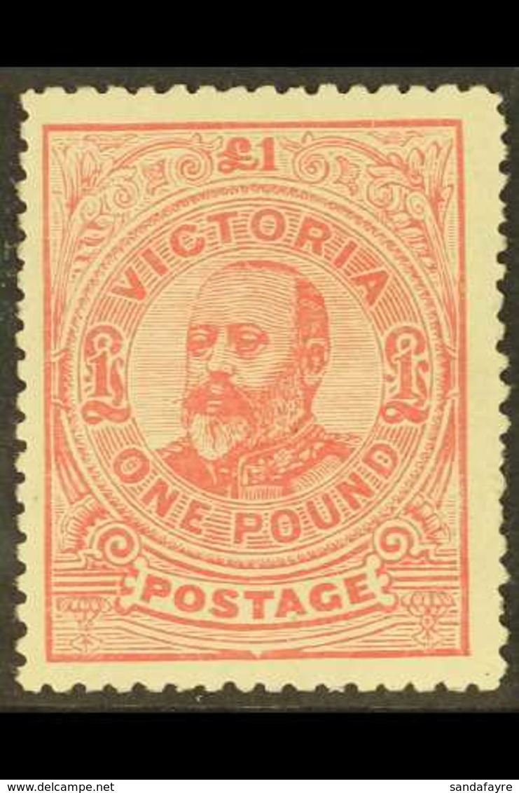 VICTORIA 1905-13 £1 Dull Rose, Perf 12½, SG 431a, Mint With Large Part Original Gum, Signed Bloch. For More Images, Plea - Otros & Sin Clasificación