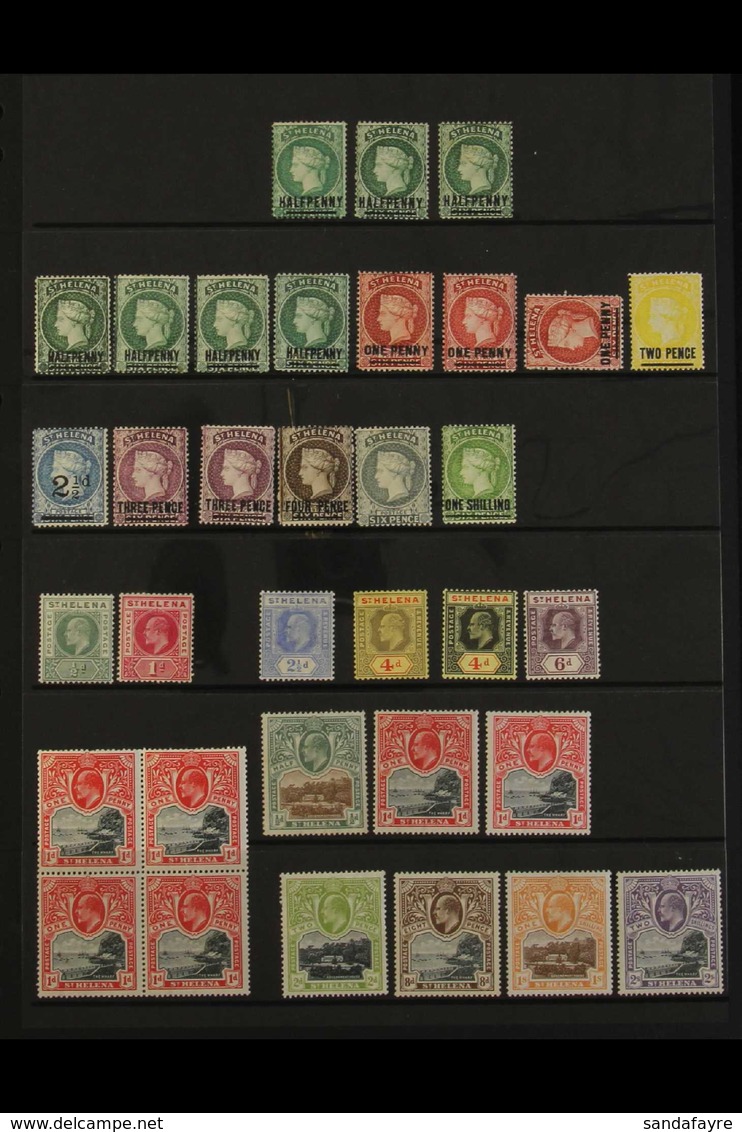 1884-1911 MINT COLLECTION On A Stock Page With 1884 Complete Set Incl. Extra Types / Shades Of ½d, 1d Reversed Wmk, 1903 - Isla Sta Helena