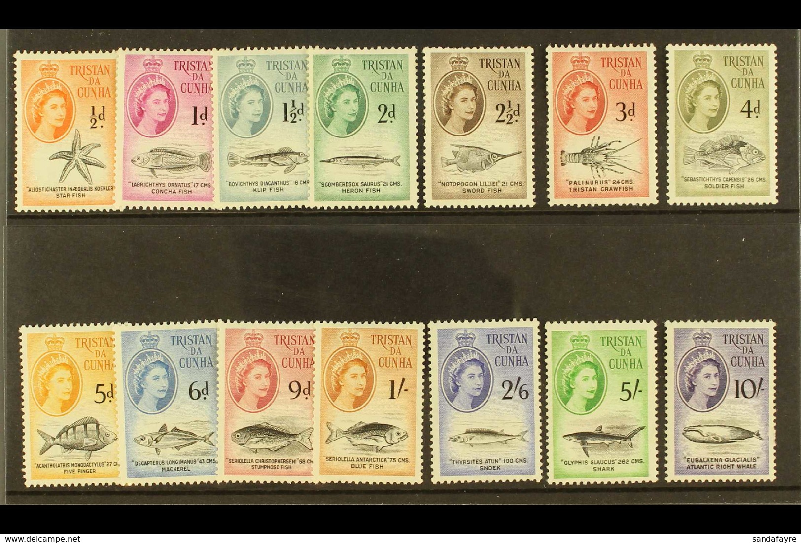 1960 Marine Life Definitive Set, SG 28/41, Never Hinged Mint (14 Stamps) For More Images, Please Visit Http://www.sandaf - Tristan Da Cunha