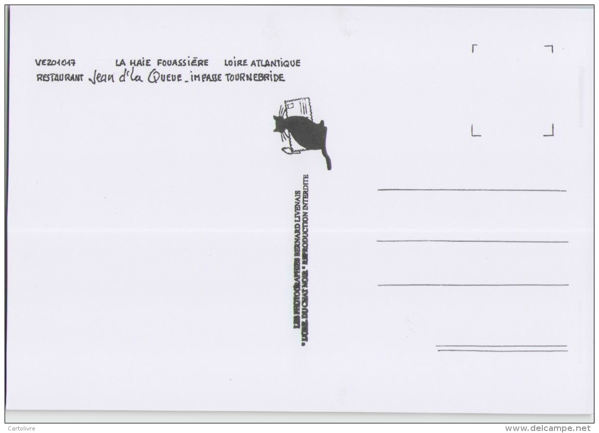 CPM 44 LA HAIE FOUASSIERE ... Restaurant Jean D'la Queue, Impasse Tournebride (Livenais VE201017) Camion - Altri & Non Classificati