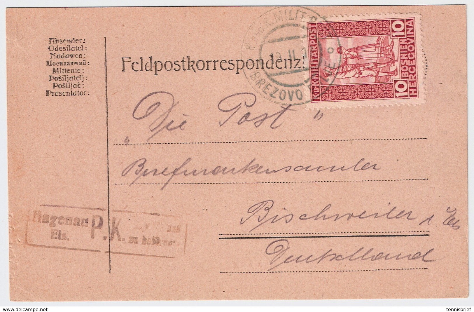 1917, EF Nach Elsaß, Zensur-Stp.  , Portogerecht !#a1041 - Bosnien-Herzegowina