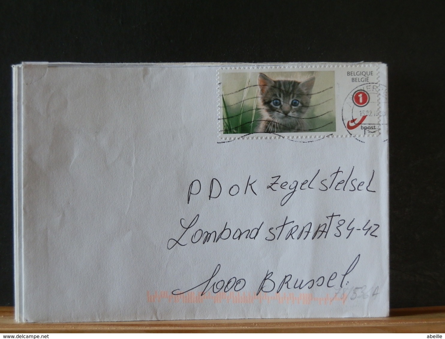 78/536AA   LETTRE BELGE - Hauskatzen