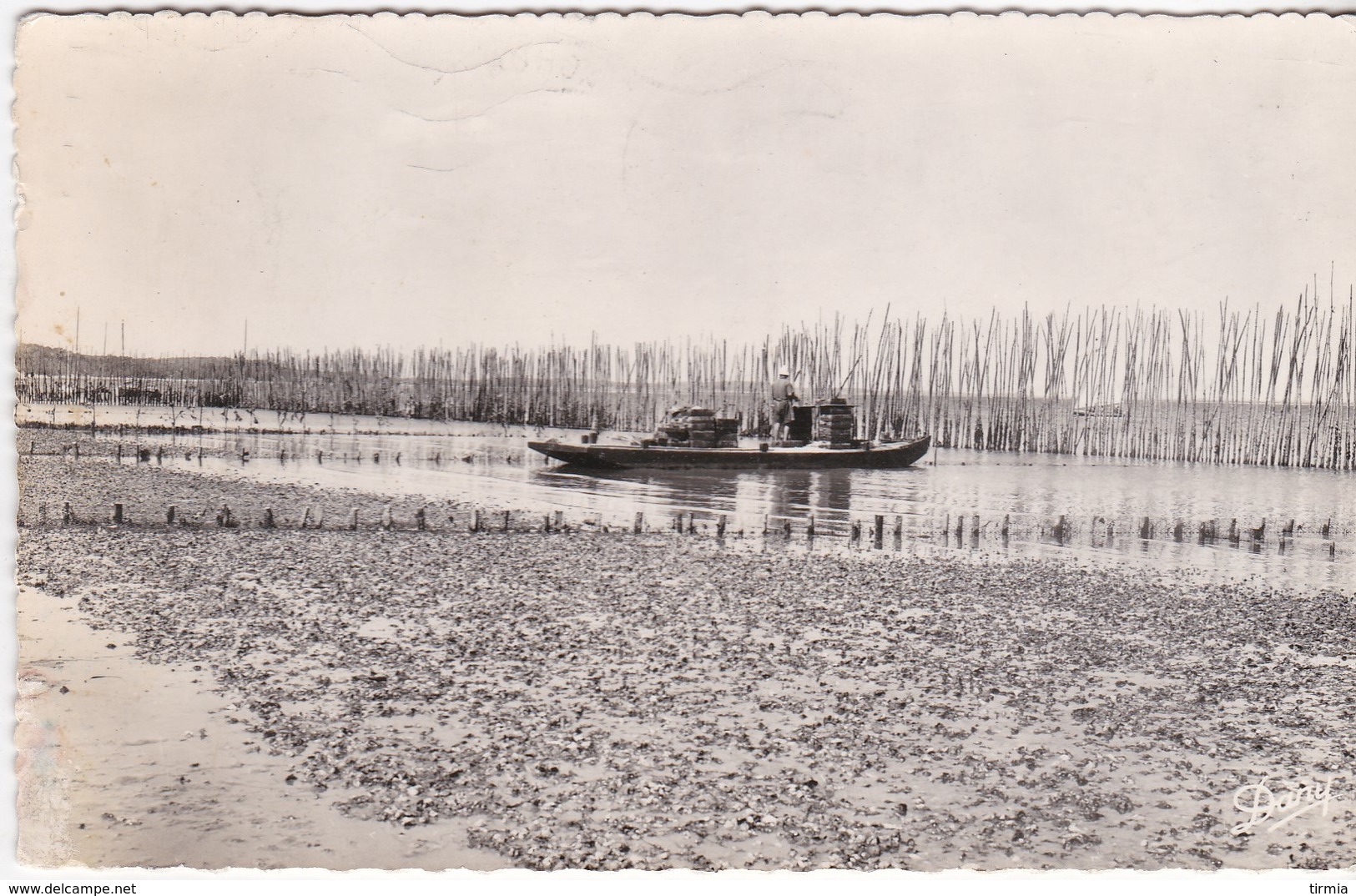 Gironde-Bassin D'Arcachon - Parc à Huîtres - Autres & Non Classés