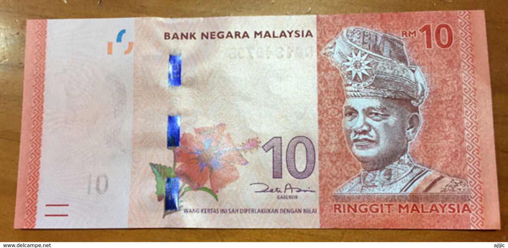 Brand New 10  MYR Ringgit. ,   Deux Photos, Recto Verso - Malesia