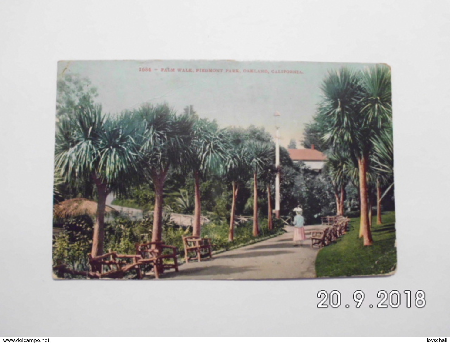 Oakland. - Palm Walk, Piedmont Park. (27 - 2 - 1913) - Oakland