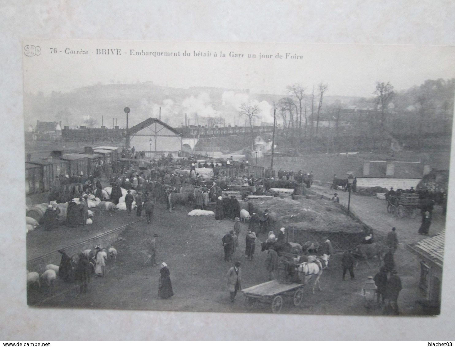 Embarquement Du Bétail A La Gare Un Jour De Foire - Brive La Gaillarde