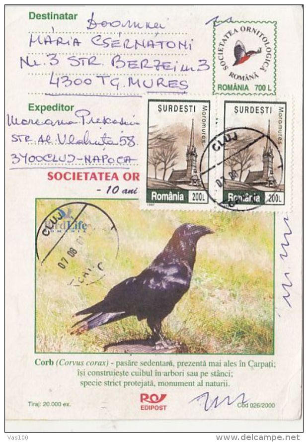 BIRDS, COMMON RAVEN, PC STATIONERY, ENTIER POSTAL, 2001, ROMANIA - Other & Unclassified