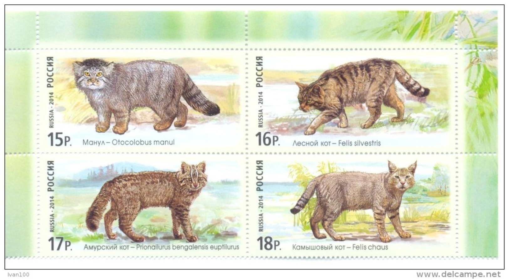 2014.Russia,  Fauna, Wild Cats, 4v, Mint/** - Big Cats (cats Of Prey)