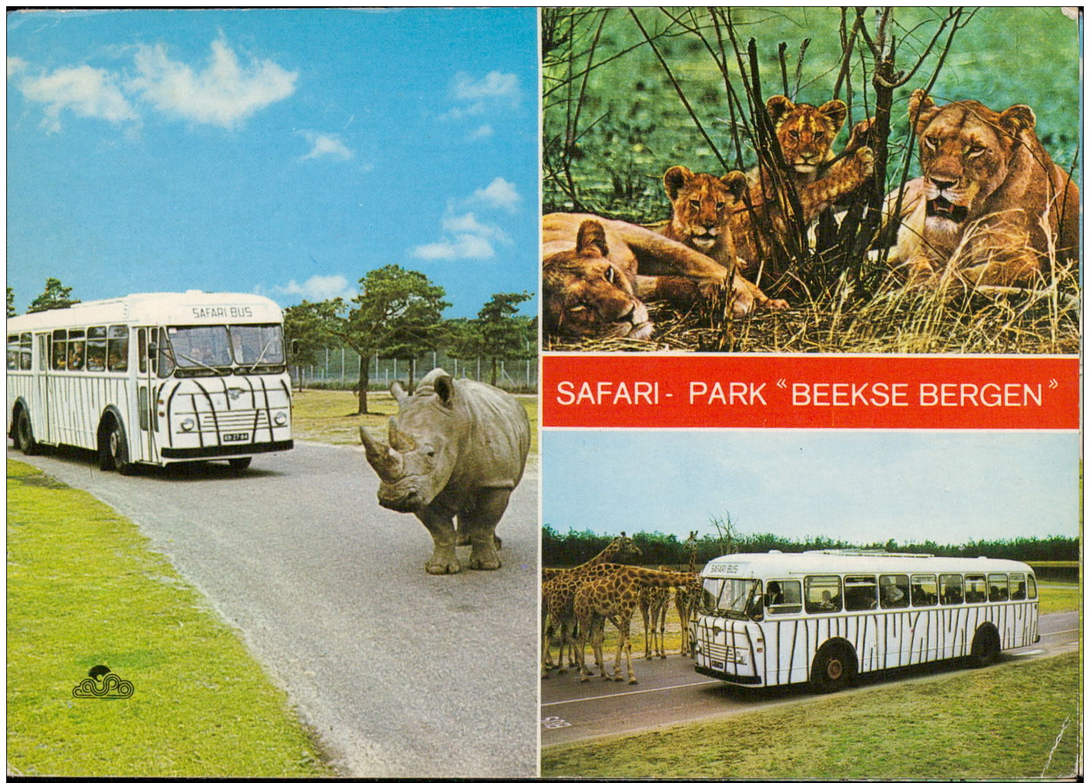 Safari Park Beekse Bergen Rino Lion Giraffe Bus Hilvarenbeek - Autres & Non Classés