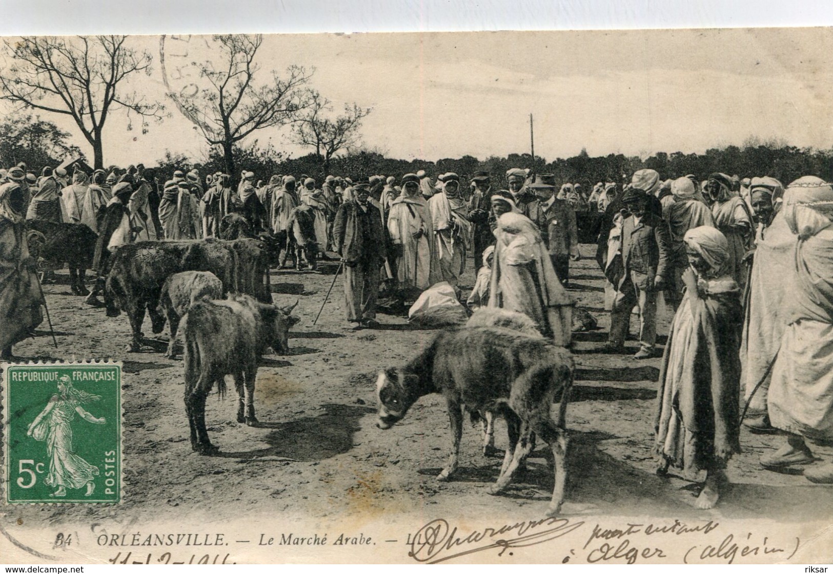 ALGERIE(TYPE) ORLEANSVILLE - Scene & Tipi