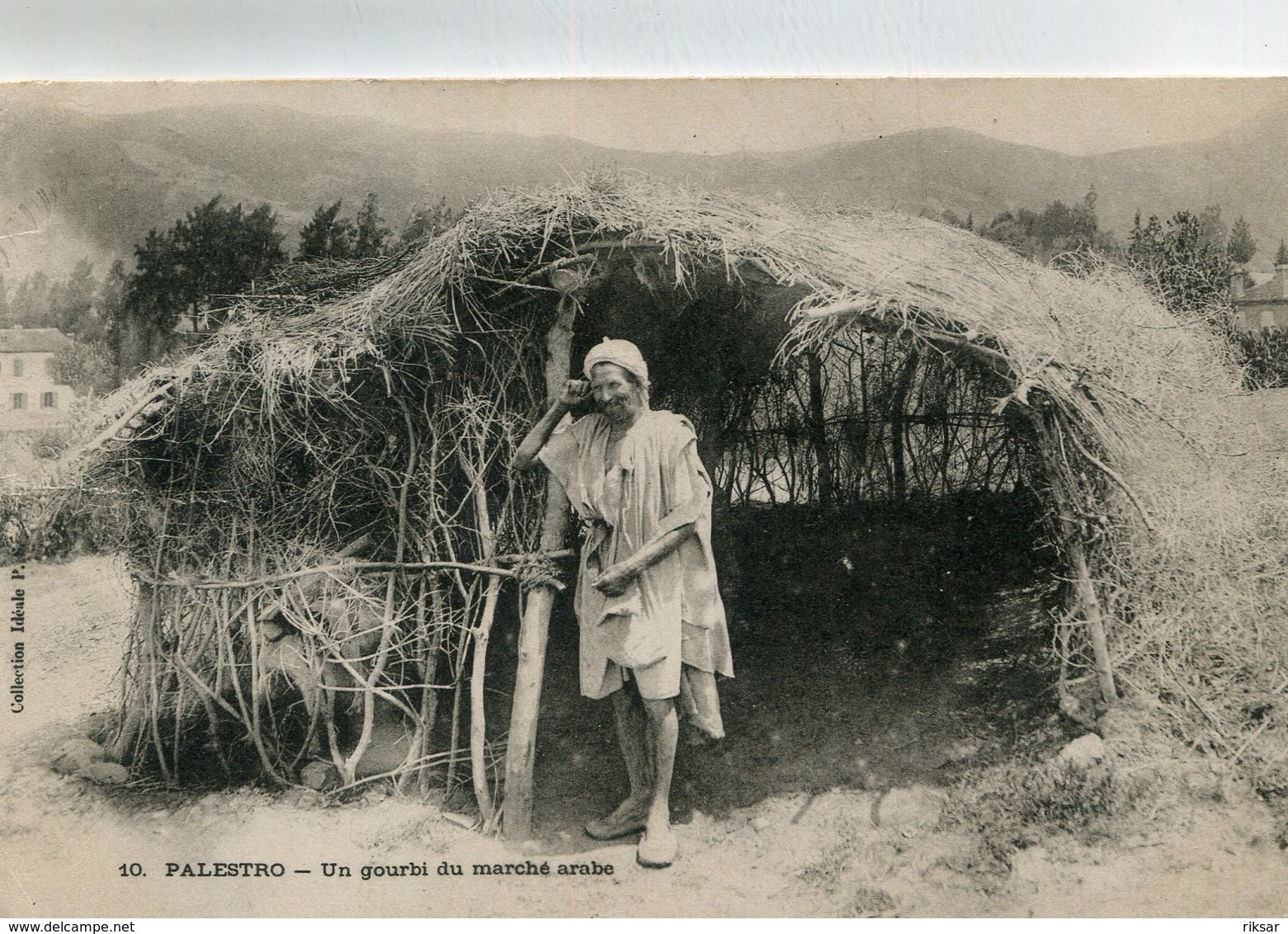 ALGERIE(TYPE) PALESTRO - Escenas & Tipos