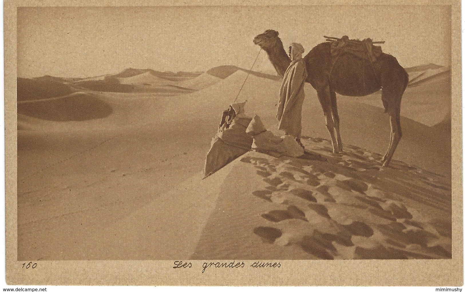 Les Grandes Dunes - Bédouins, Chameau - Dromadaire - Non Classés