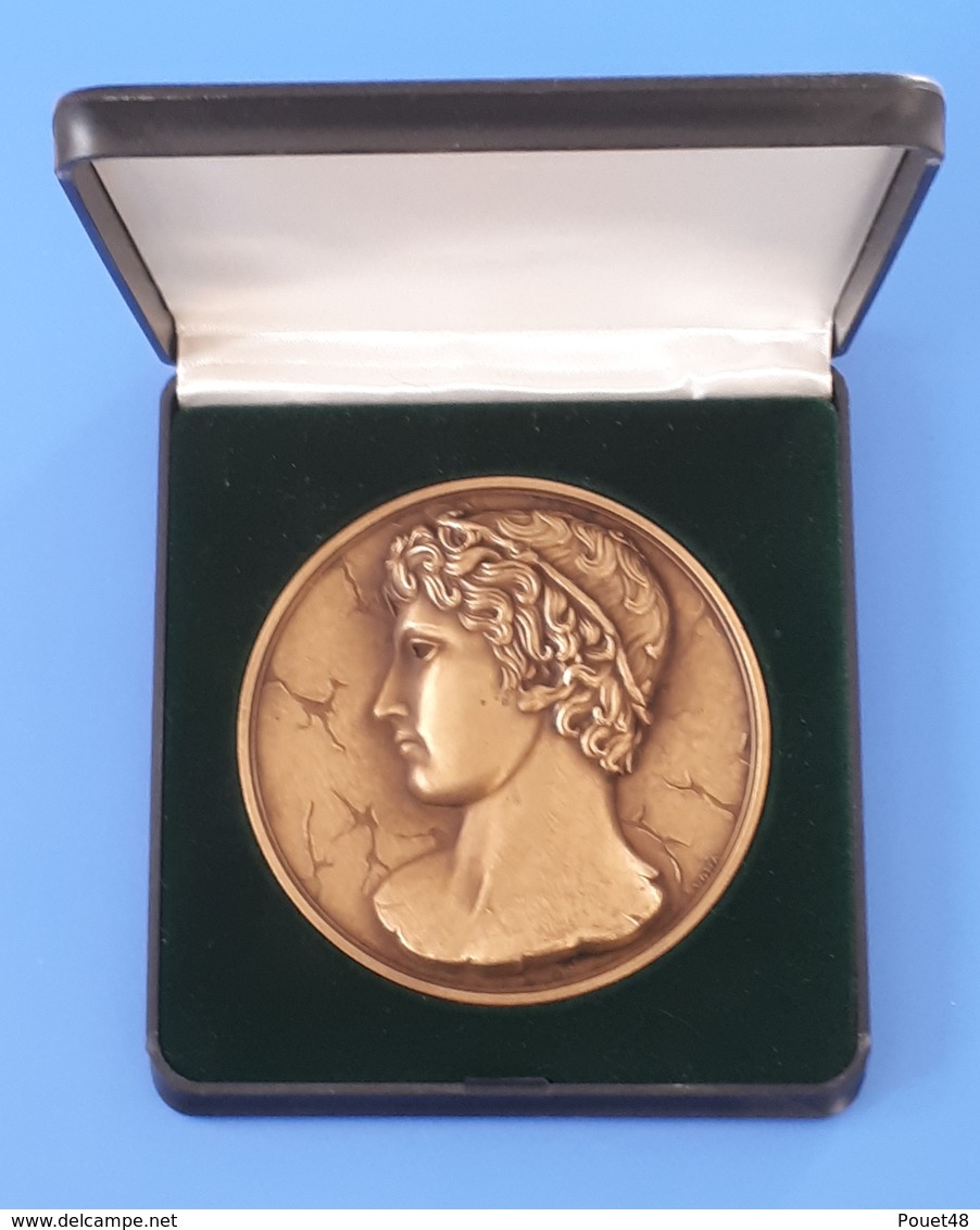 Médaille En Bronze, Offert Par Georges VALBON: Maire De Bobigny, Président Du Conseil Général De Seine St Denis - Professionals / Firms