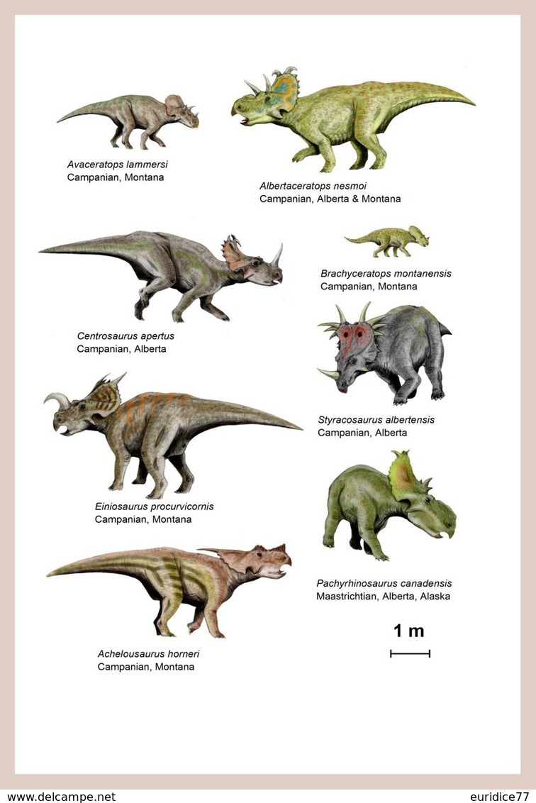 DINOSAURIOS POSTAL 9 - Otros & Sin Clasificación