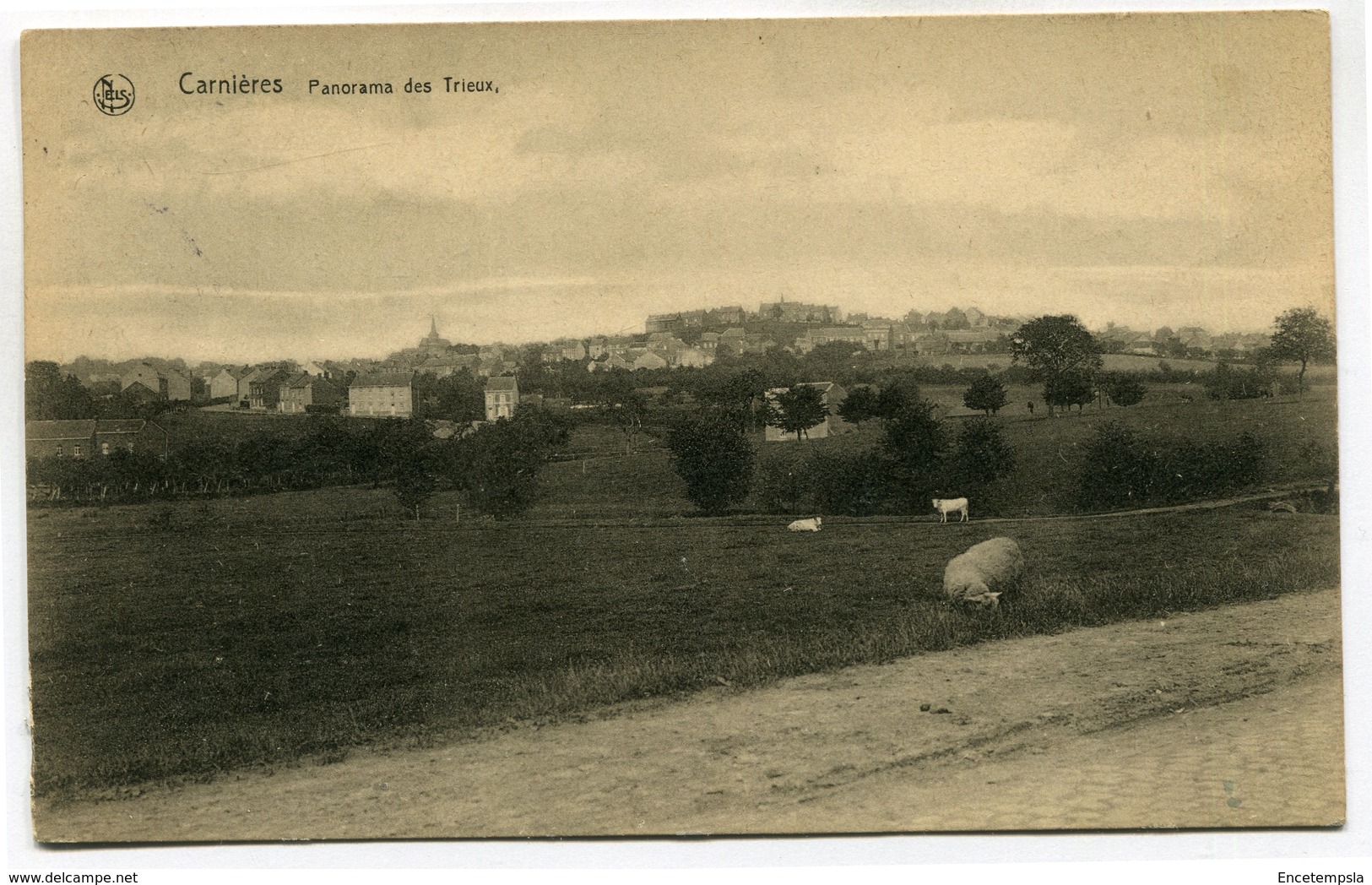 CPA - Carte Postale - Belgique - Carnières - Panorama Des Trieux ( SV5688) - Morlanwelz