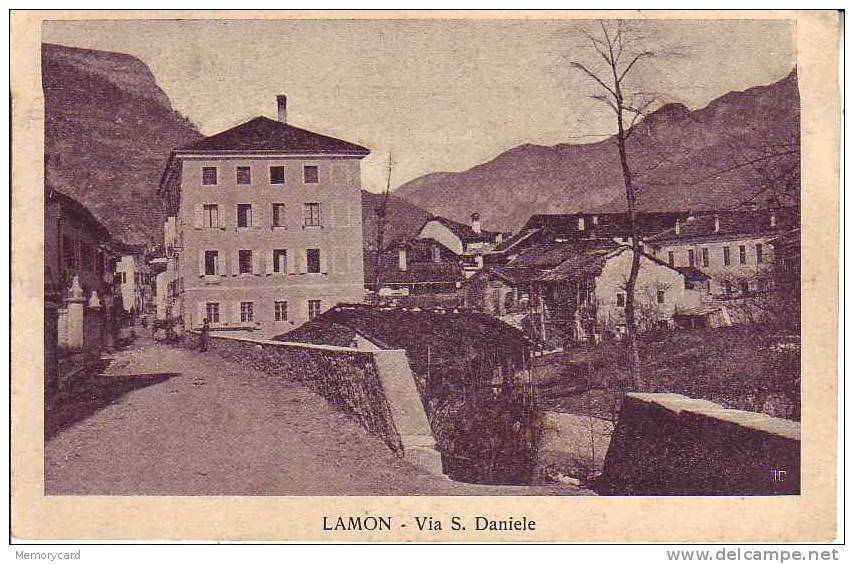 8561 LAMON BELLUNO VG FP - Belluno