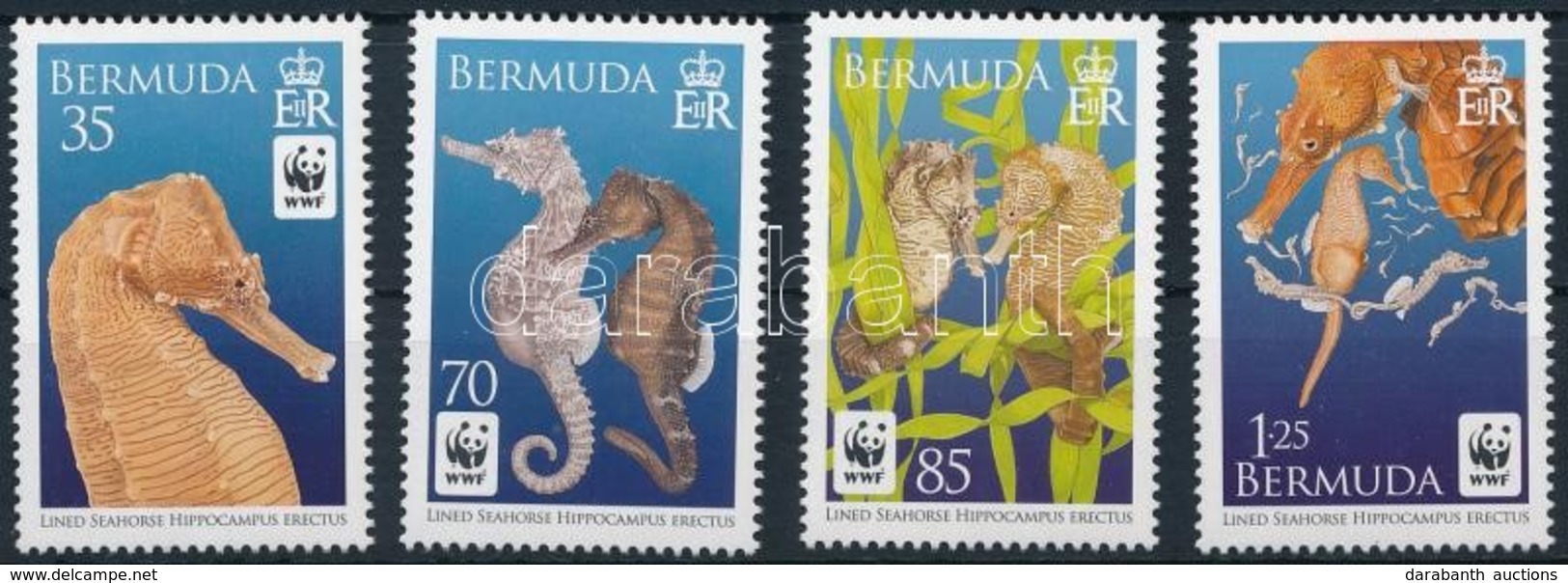 ** 2010 WWF: Tengeri Csikók Sor Mi 1005-1008 - Altri & Non Classificati