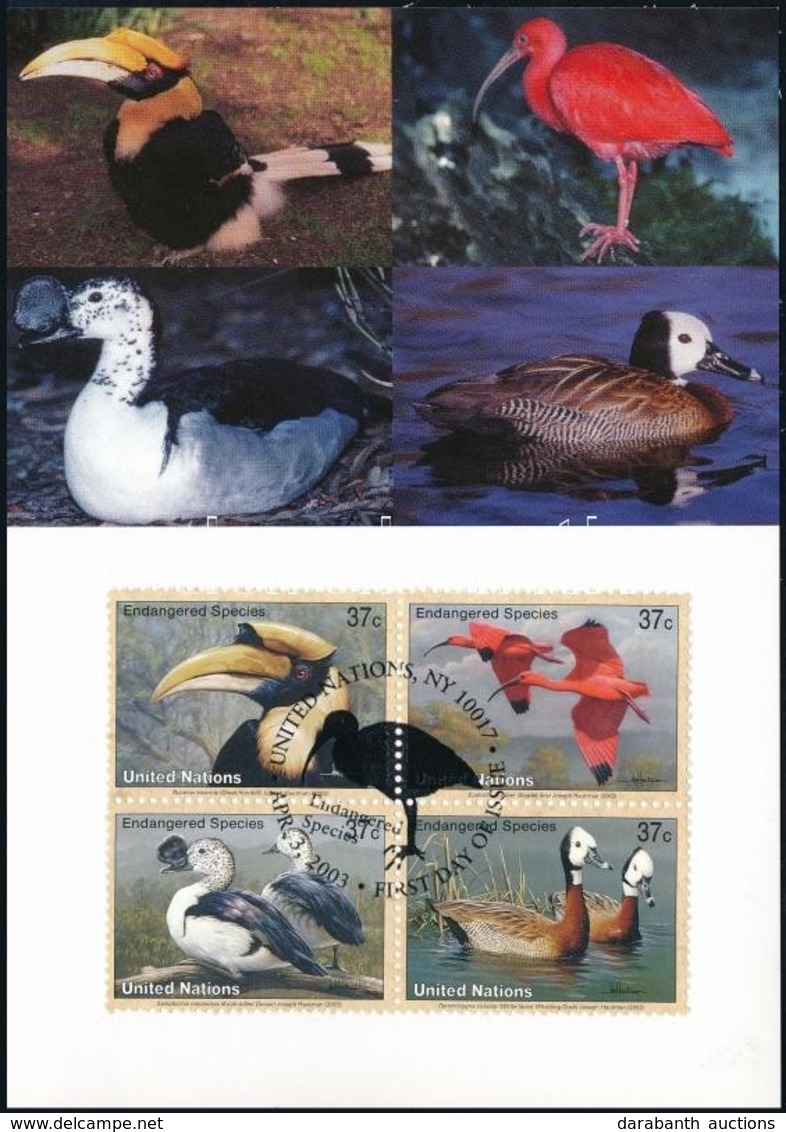 2003 WWF: Veszélyeztetett Fajok, Madarak Sor Négyestömb CM,
WWF: Endangered Species, Birds Set Blocks Of 4 CM
Mi 925-928 - Otros & Sin Clasificación