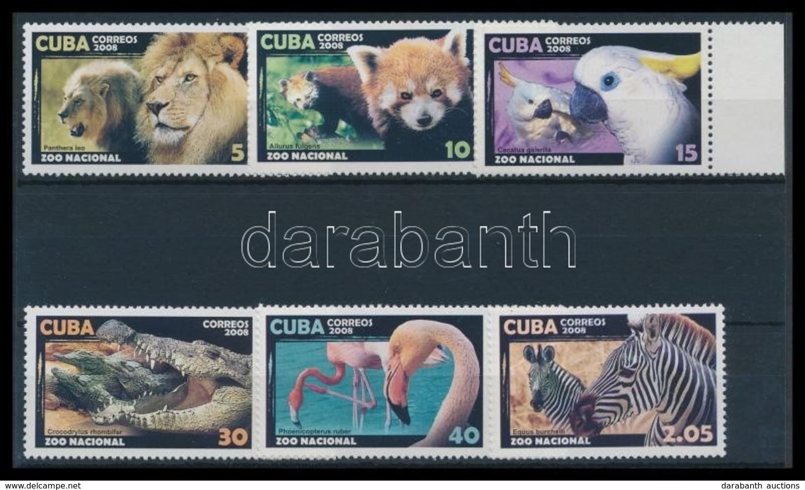 ** 2008 Vadállatok Az állatkertben Havannában Sor Mi 5100-5105 - Altri & Non Classificati