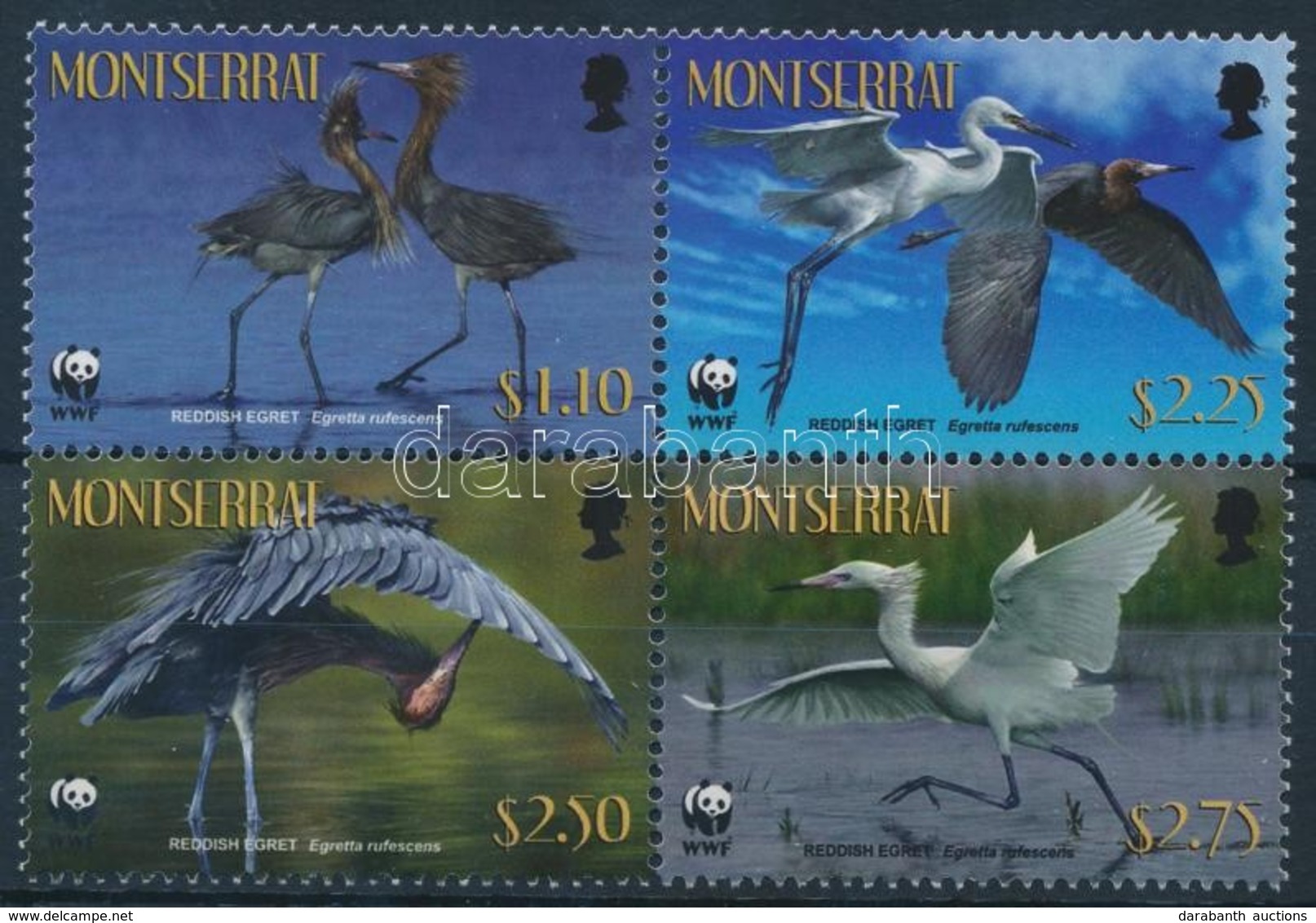 ** 2010 WWF: Madár Négyestömb Mi 1524-1527 - Altri & Non Classificati