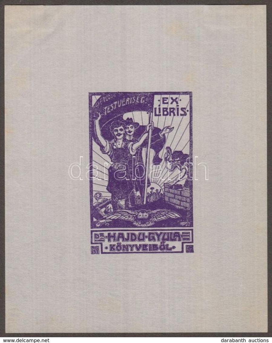 Nikelszky Géza (1877-1966): Ex Libris Hajdu Gyula. Klisé, Papír, Jelzett A Klisén, 7×4,5 Cm - Otros & Sin Clasificación