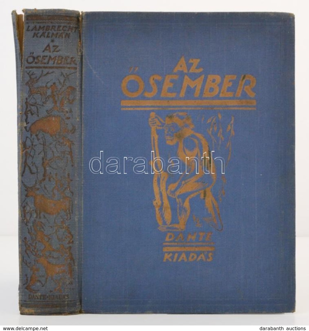 Lambrecht Kálmán: Az ősember. Ősvilágok élete. A 8.,19-23. Fejezetek Szerzője Kormos Tivadar. Budapest, 1931, Dante. Más - Ohne Zuordnung